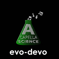 A Capella Science - Evo-Devo загрузить