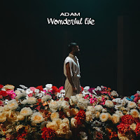 Adam - Wonderful Life загрузить