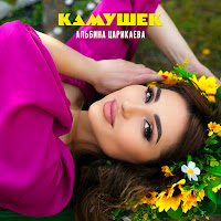 Обложка песни 