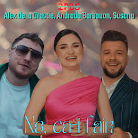 Alex De La Orastie - No, Ca-I Fain Ft Andrada Barsauan & Susanu загрузить