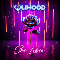 Aliwood - She Likes загрузить