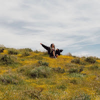 Ally Nicholas - Seventeen загрузить