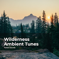 Ambient Forest - Forest Environment Tune Ft Forest Sounds & Rainforest Sounds загрузить