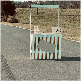 Amélie Farren - Unsweetened Lemonade загрузить