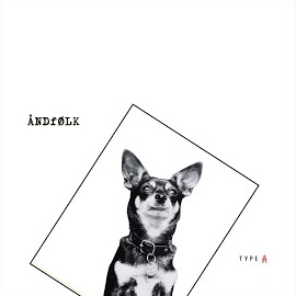Andfølk - Type A mp3 скачать