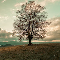 Arne - Miałem Nie Palić Ft Ramzes загрузить