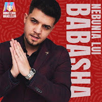 Babasha - Nebunia Lui Babasha Ft Ministerul Manelelor загрузить