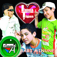 Babi Minune - Inima De Tigan загрузить