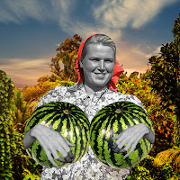 Baltic Balkan - Hop Hop Digidaj Ft Tibble Transsibiriska & Kastetas загрузить