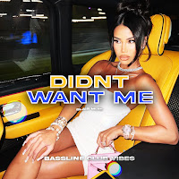 Bassline Club Vibes - Didnt Want Me (Feat. Blair Muir) загрузить