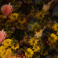 Ben Böhmer - Rust загрузить