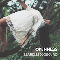 Blaudiss - Openness (Feat. Oscuro) загрузить