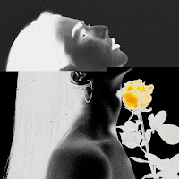 Blue In Tokio - Born In The North загрузить