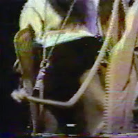 Bones - Sleepmode загрузить