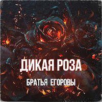 Братья Егоровы - Дикая Роза загрузить