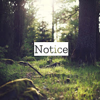 Breakin'holiday - Notice загрузить