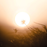 Brock Hewitt: Stories In Sound - Your Light Ft The David Roy Collective загрузить