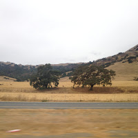 Bulldog Eyes - Boys загрузить