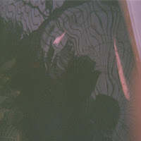 Cathedral Bells - Dayflower загрузить