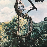 Celer - Magnified Pieces Of Thermodynamics Ft Forest Management загрузить