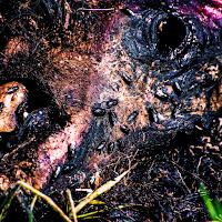 Chxsr - Slow Decay загрузить