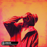 Coopex - Stereo Love (Feat. Britt Lari) Ft Donovan's Playground & Lujavo загрузить