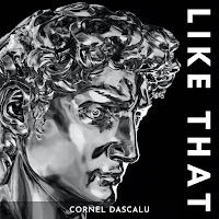 Cornel Dascalu - Like That загрузить