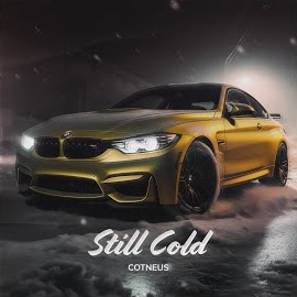 Cotneus - Still Cold (Remix) загрузить