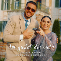 Culita Sterp - Am Gustat Din Viata Ft Andrada Barsauan загрузить