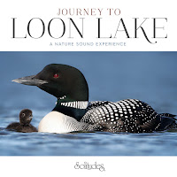 Dan Gibson's Solitudes - Listen To The Loons загрузить