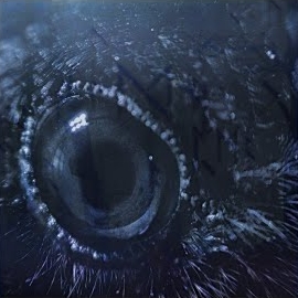 Danheim - Draugrsongr загрузить