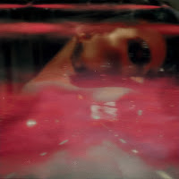 Daniel Di Angelo - Loyalty загрузить