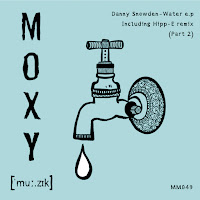 Danny Snowden - Water загрузить