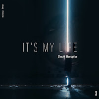 Davit Barqaia - It's My Life Ft Nmg загрузить