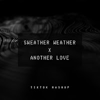 Dj Davion - Sweather Weather X Another Love (Tiktok Mashup) (Remix) загрузить