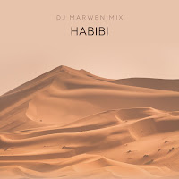 Dj Marwen Mix - Habibi загрузить