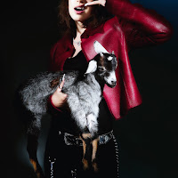 Dj Nevykele - Sidabrinė Žiurkė загрузить