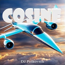 Dj Polkovnik - Cosine загрузить