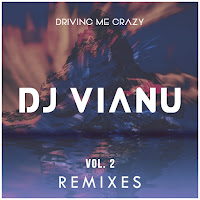 Dj Vianu - Driving Me Crazy (Syde Remix) (Feat. Syde) загрузить