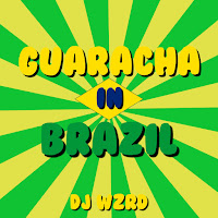 Dj Wzrd - Guaracha In Brazil загрузить