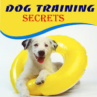 Dog Training Institute - Underground Dog Training Secrets - The Interview загрузить