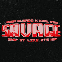Donny Duardo - Savage (Drop It Like It's Hot) Ft Karl Wine загрузить