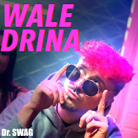 Dr. Swag - Wale Drina загрузить