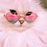 Dreamsoda - Diva X Tgif (Tgid) загрузить