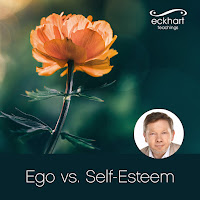 Eckhart Tolle - Seeing The Ego As An Illusion загрузить