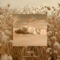 Elm Lake - Cotton Dreams загрузить