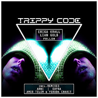 Erika Krall - Follow Ft Lian Gold загрузить