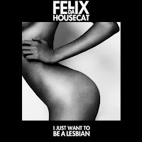 Felix Da Housecat - I Just Want To Be A Lesbian (Riton Remix) (Feat. Romina Cohn) загрузить