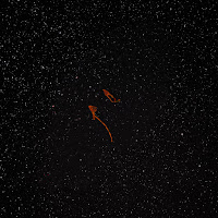 Fhin - Everlastin загрузить