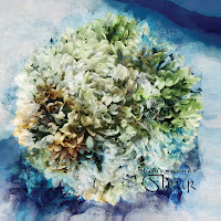 Flëur - Тридцать Семь загрузить